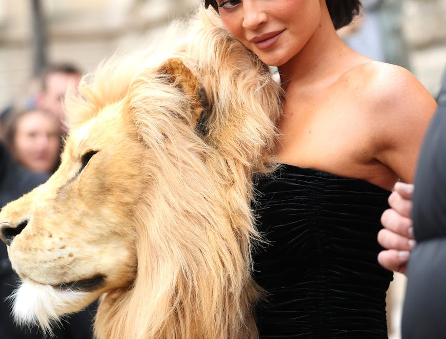 paris person woman adult female lion mammal wildlife finger formal wear dress