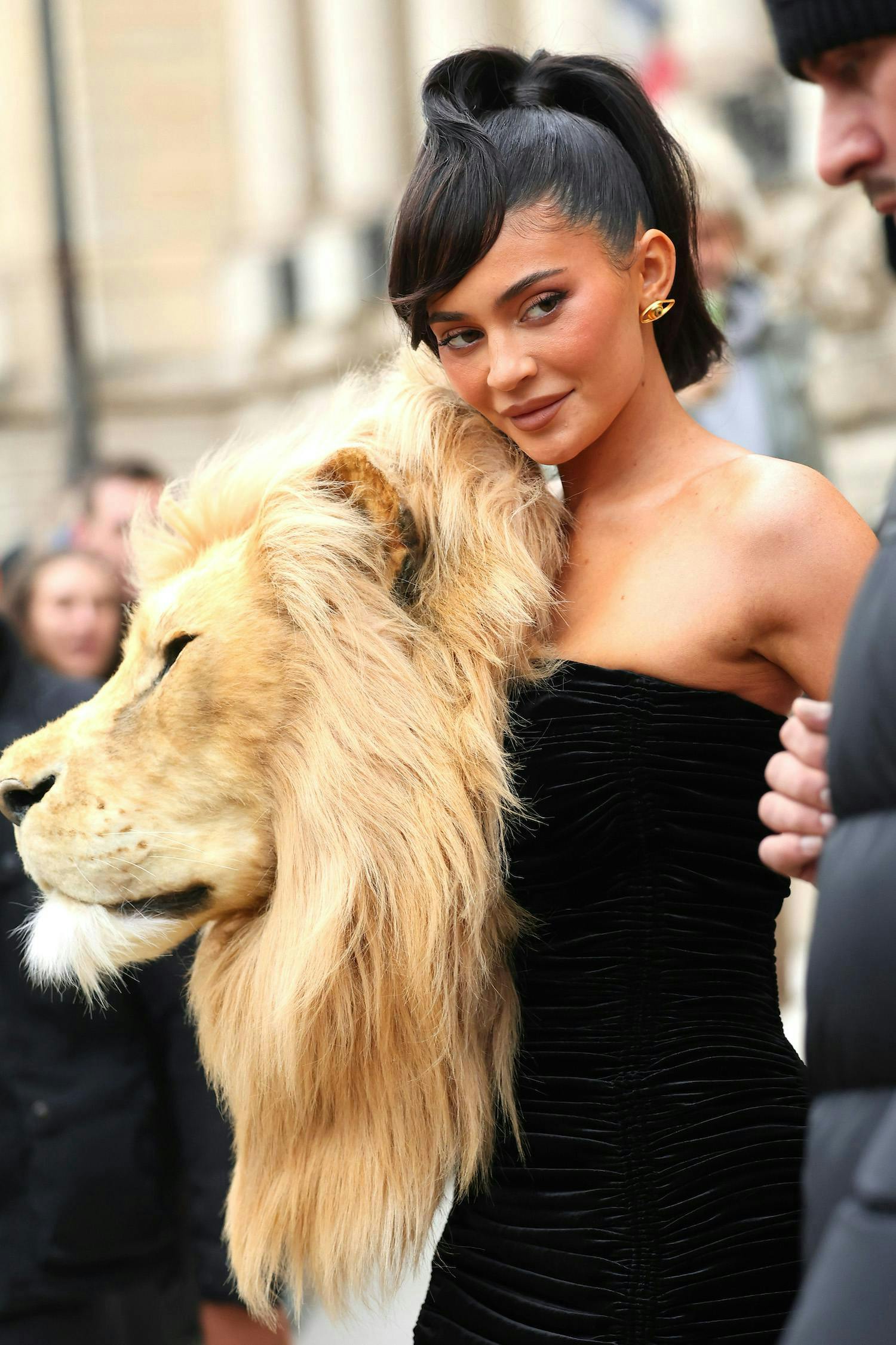 paris person woman adult female lion mammal wildlife finger formal wear dress